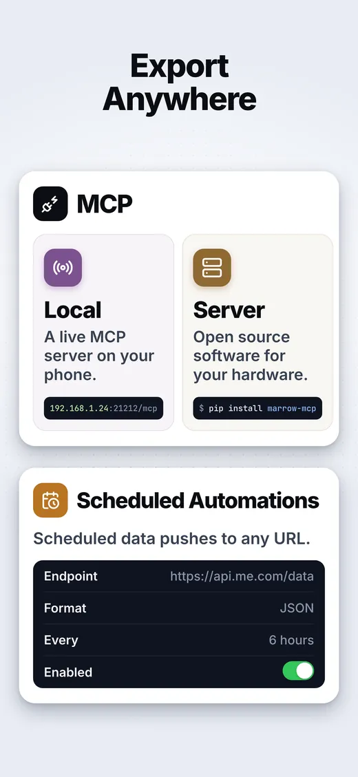 Export options: local MCP server, self-hosted server and scheduled automations